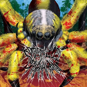 Spider Killed Bananaman