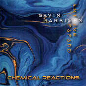 Gavin Harrison: Chemical Reactions