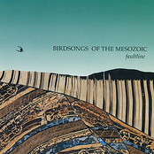 The True Wheelbase by Birdsongs Of The Mesozoic