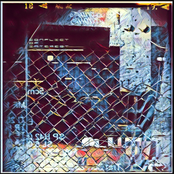 Fanoodle (pheel. flip)