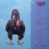 Out Of The Dark [Reissue 2022]