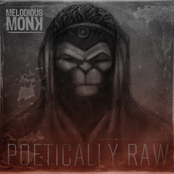 Poetically Raw (Single)