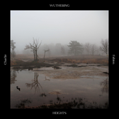 Wuthering Heights (Arr. for Piano)