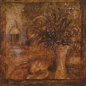 The Cure For Pain by Mewithoutyou