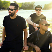 yellow claw