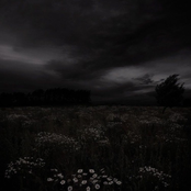 Cardigan (TikTok Best Part)