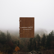 Ambient Library (Introspection01)