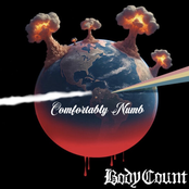 Comfortably Numb