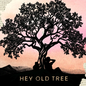 Hey Old Tree