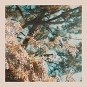 I'm Here (Spring Version)