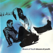 bloom of youth