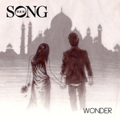 Wonder - Single