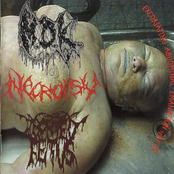 Excoriating Abdominal Emanation [split]