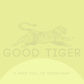 Good Tiger: A Head Full Of Moonlight