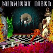 Disco Midnights (MUSW002)