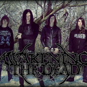 awakening the dead