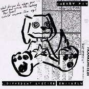 a different species entirely