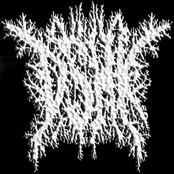 2011 - Demo