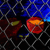 EVERYTHING IS AN ADVERTISEMENT