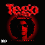 Tego Calderon: El Abayarde