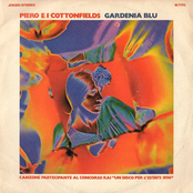 Gardenia blu / Passo Su Passo