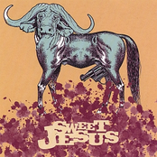 Sweet Jesus