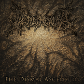 The Dismal Ascension
