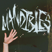 Mandibles
