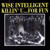 Send Fe Me Gunn by Wise Intelligent