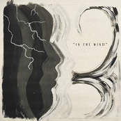 In The Wind