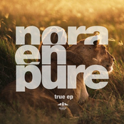 Nora En Pure: True