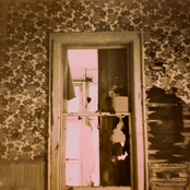 stay strange: live recordings