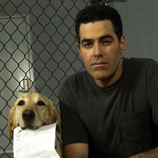 adam carolla