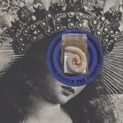 King, Does This Not Please You? (Behold the Power)