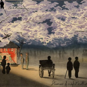 Aromas of night moths