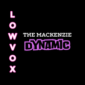 LowVox