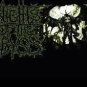 Unleash The Latrine Eating Leviathan by Knights Of The Abyss