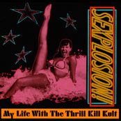 My Life With The Thrill Kill Kult: Sexplosion!