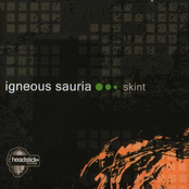 Nothing For Something by Igneous Sauria