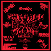 Chicago Metalworks Battalion