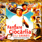 Alili (radio Version) by Fanfare Ciocărlia