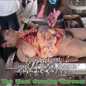 The Final Ovarian Harvest
