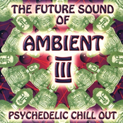 The Future Sound Of Ambient 3