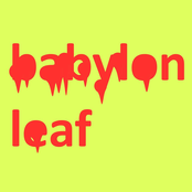 Babylon Leaf