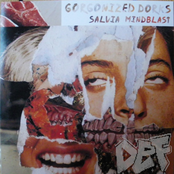 Salvia Mindblast