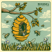 Morsel: On a Bee Line