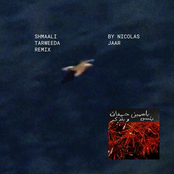 Yasmine Hamdan: Shmaali شمالي Tarweeda (Nicolas Jaar Remix)