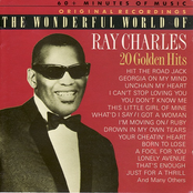 The Wonderful World Of Ray Charles: 20 Golden Hits