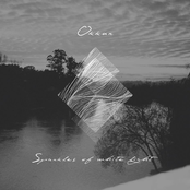 Sparkles of White Light