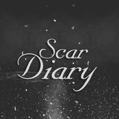 scar diary